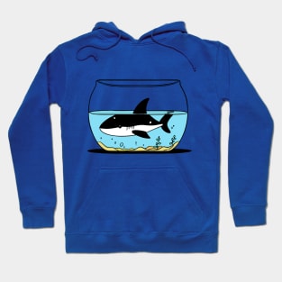 A shark in a fishbowl Hoodie